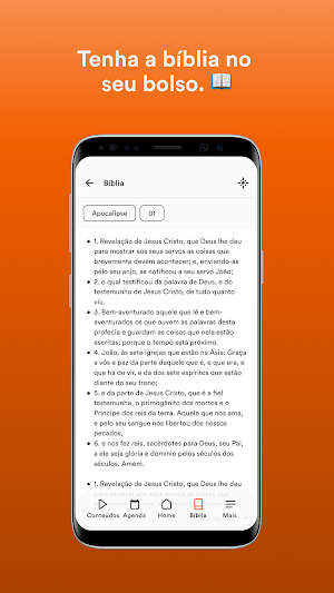 Dynamus Brasil Screenshot 2