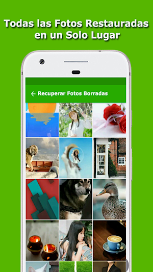 Como Recuperar Fotos Borradas Screenshot 1