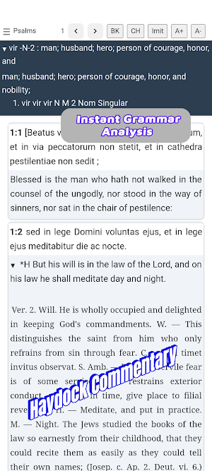 Vulgate Latin and English Screenshot 0