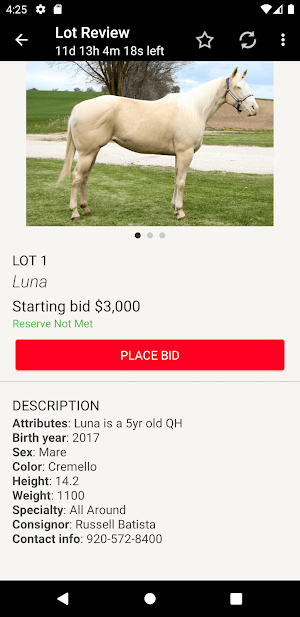 Next Level Equine Screenshot 2