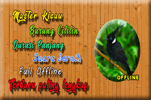 Masteran Cililin Kicau Panjang Screenshot 0
