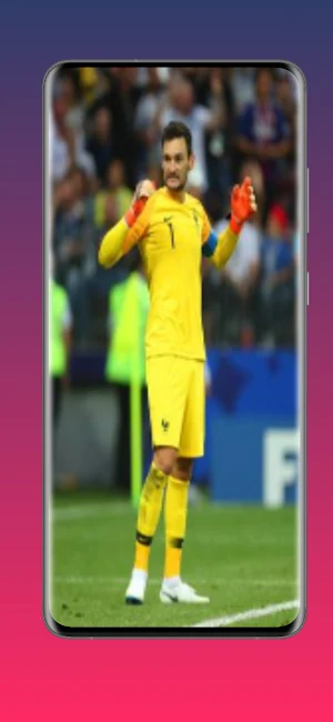 Hugo Lloris 4k wallpaper Screenshot 2