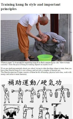 How to Do Kung Fu Training Screenshot 3