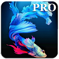 Fish Wallpapers Live PRO
