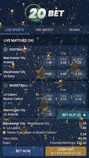 20Bet Screenshot 0