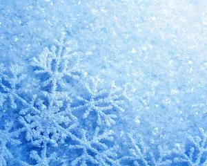 Snow Stars HD Themes Screenshot 3