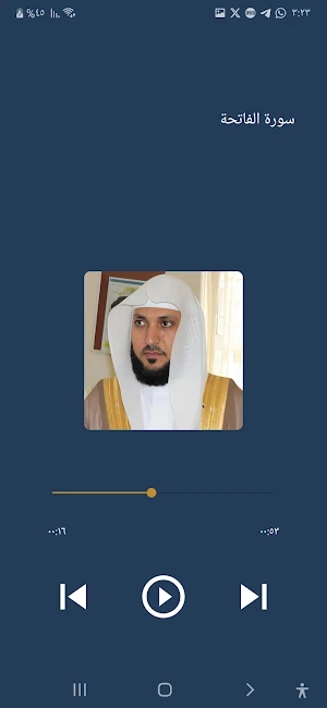 ماهر المعيقلي القرآن بدون نت Screenshot 2