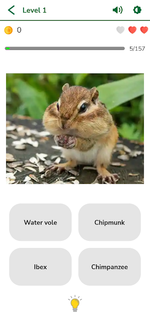 Animal Game Screenshot 3
