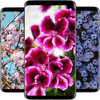 Flower HD Wallpapers 2022