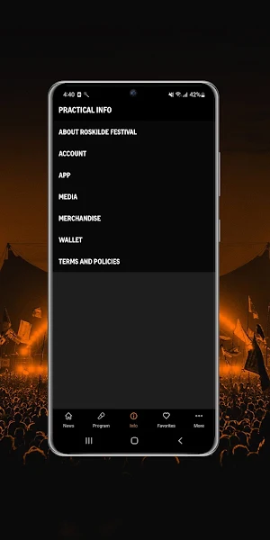 Roskilde Festival Screenshot 2