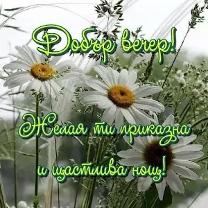 Добър вечер!! Screenshot 2