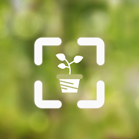 Plant Identifier | AI Scanner