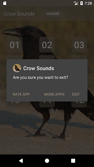 Crow Sounds Screenshot 2