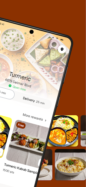 Turmeric STL Screenshot 1