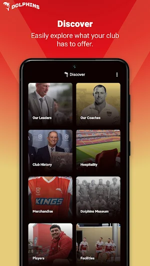Dolphins Screenshot 3