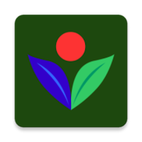 FrutApp Job