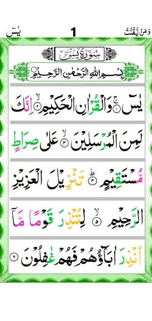 Punj Surah Screenshot 2
