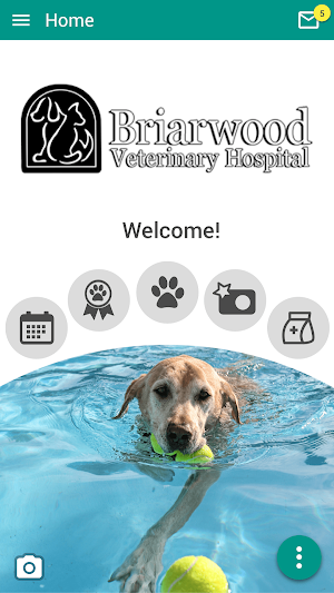 Briarwood Vet Screenshot 0