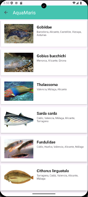 AquaMaris Screenshot 3
