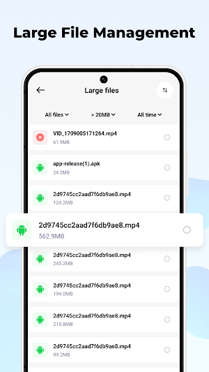 Flash Browser Screenshot 3