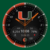 Miami Premium Watchface