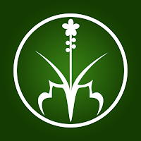 Hương Sạch Tân Nguyên