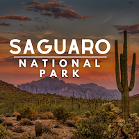 Saguaro National Park Guide