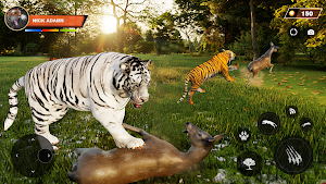 Lion Simulator 3d Animal Game Screenshot 2
