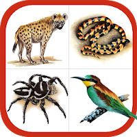 Wildlife Southern Africa