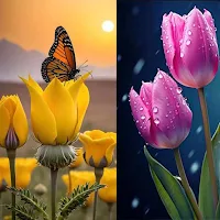 Flowers Wallpaper 4K-HD Photos