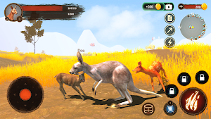 The Kangaroo Screenshot 3