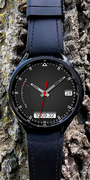 Analog Dynasty Watch face Screenshot 1