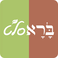 ברא סלט