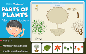 Montessori Botany - Parts of P Screenshot 0
