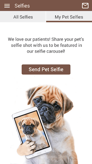 Animal Hospital of Humble Screenshot 3