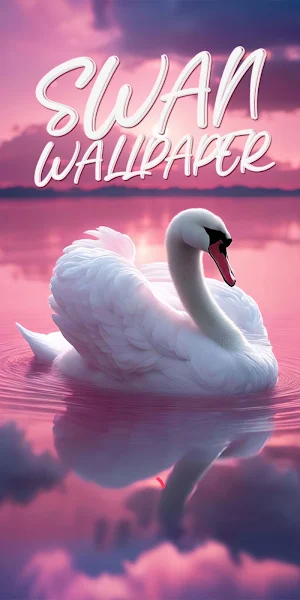 swan wallpaper Screenshot 0