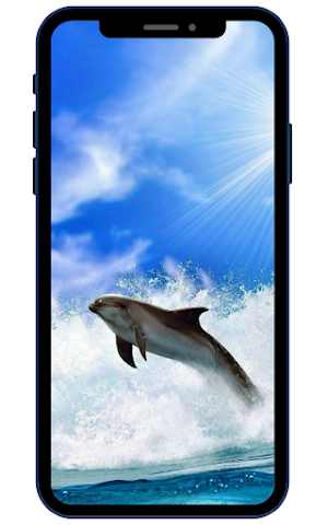Dolphin Wallpapers Screenshot 2