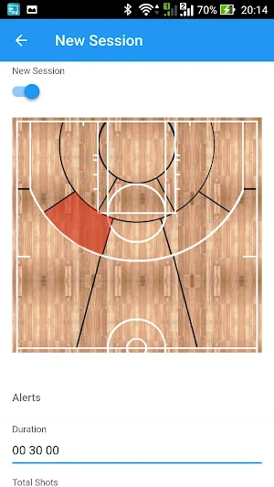 Basket Shot Screenshot 1