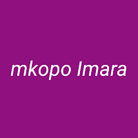 Mkopo Imara