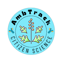 AmbTrack
