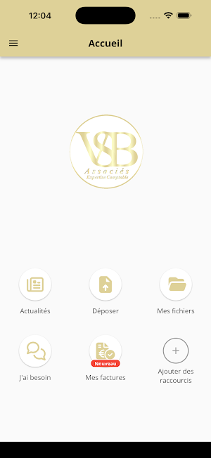 VSB & ASSOCIES Screenshot 1