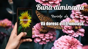 Romanian Morning & Night Greet Screenshot 2