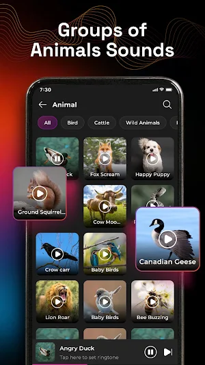 Ringtones: Animal, Funny Sound Screenshot 1