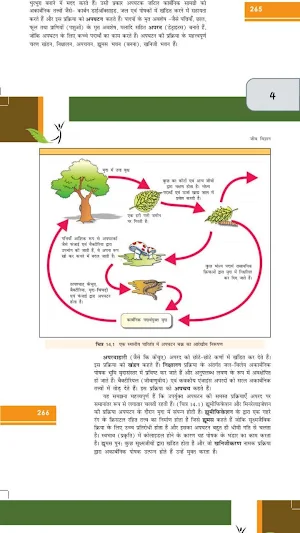 Class 12 Biology NCERT Book in Hindi Screenshot 2