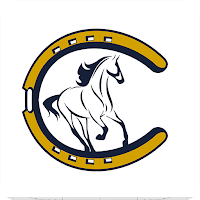 Colts Neck Township Schools