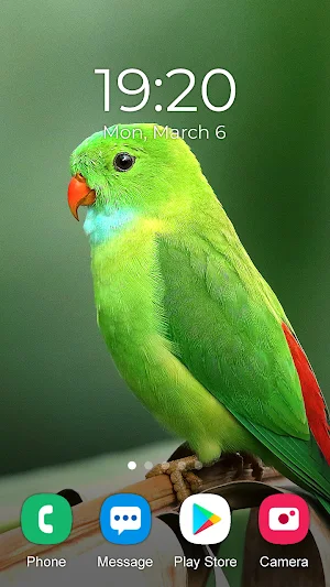 Parrot Wallpaper 2023 Screenshot 2