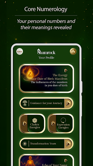 Shamrock: Numerology Insights Screenshot 2