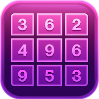 Wild Sudoku Puzzle