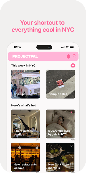 Projectpal Screenshot 2