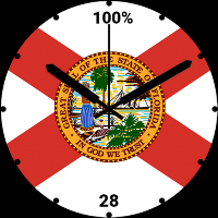 Florida Flag Watchface
